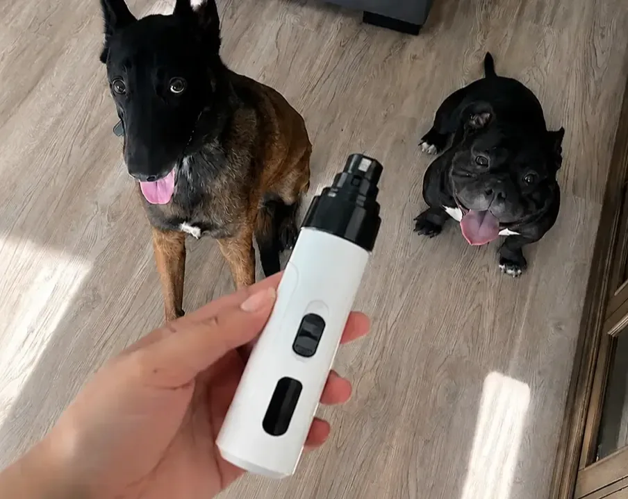 Owner holding the cordless Maxpro 3-in-1 Grinder in front of two dogs waiting for their nail trim